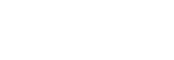 Nessry